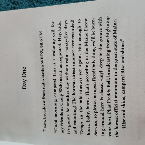 Wildfire - Picture 4 of 4